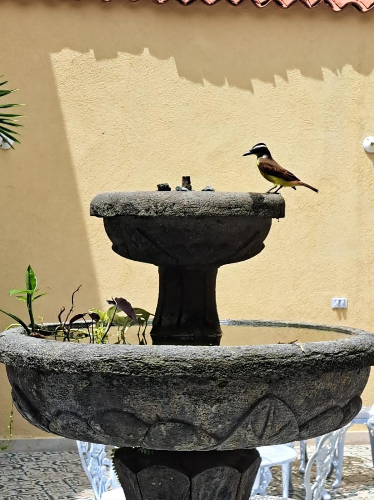 Casa Sileo - Boutique Hotel كالي المظهر الخارجي الصورة