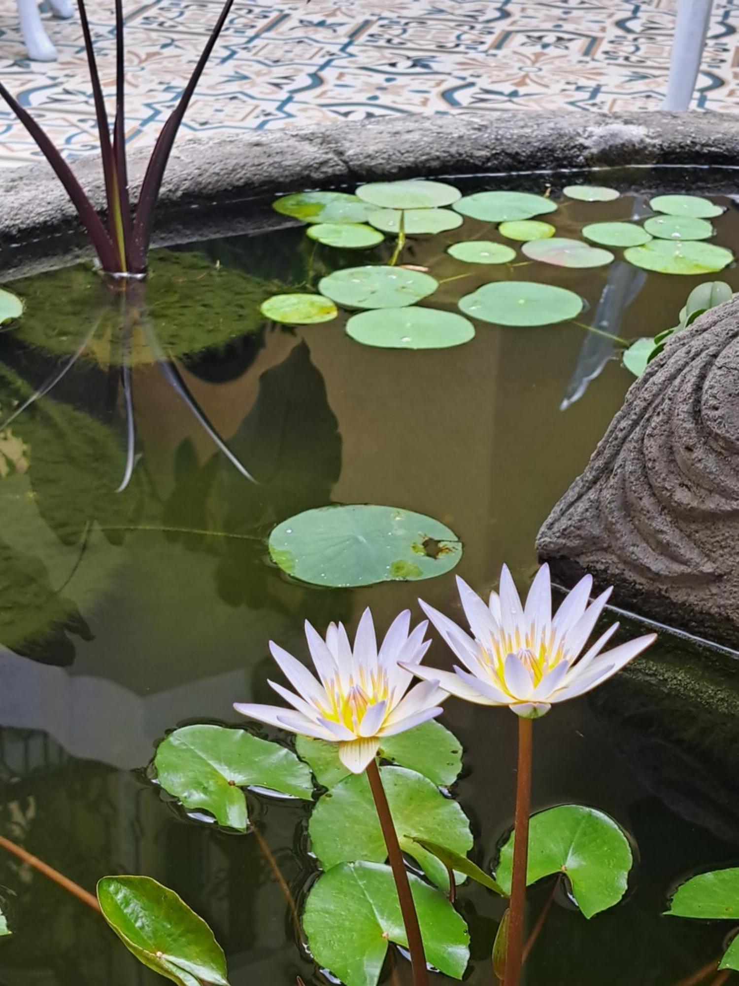 Casa Sileo - Boutique Hotel كالي المظهر الخارجي الصورة